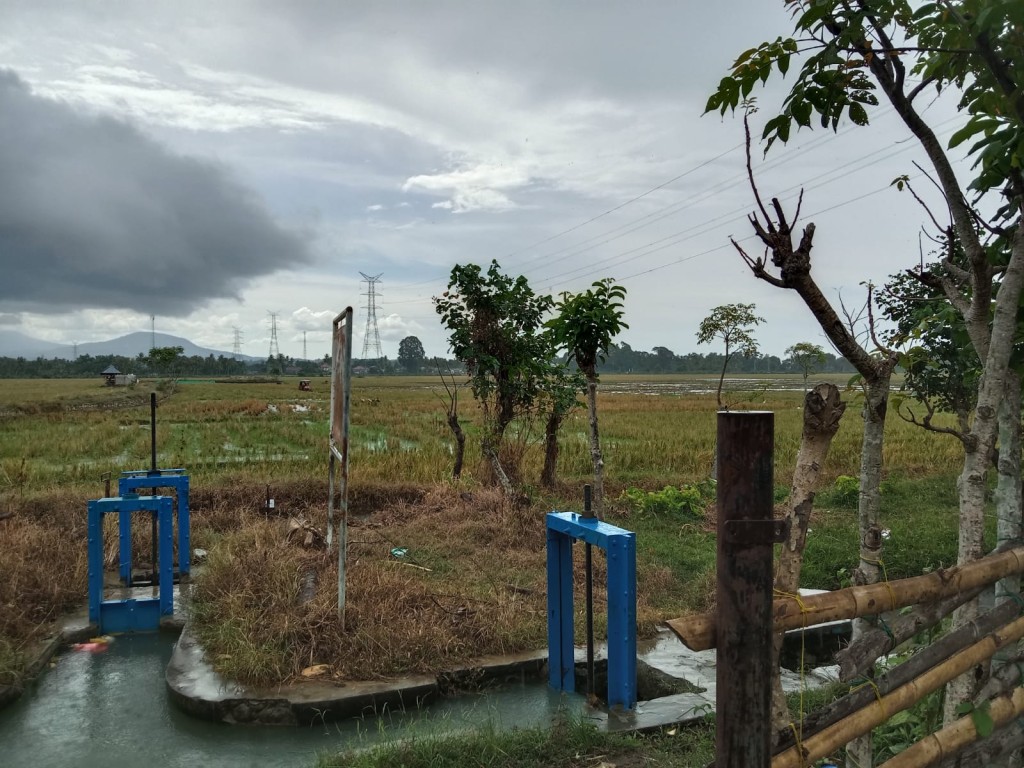 sawah desa tumpok laweung